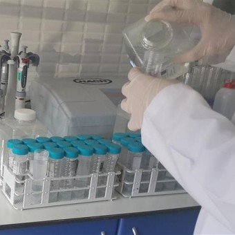 Boiler Scale & Corrosion Inhibitor Chemicals